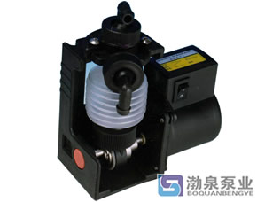 牛牛综合网日韩欧影视 DZ、DS新型波纹管药液计量泵|微型计量补液泵